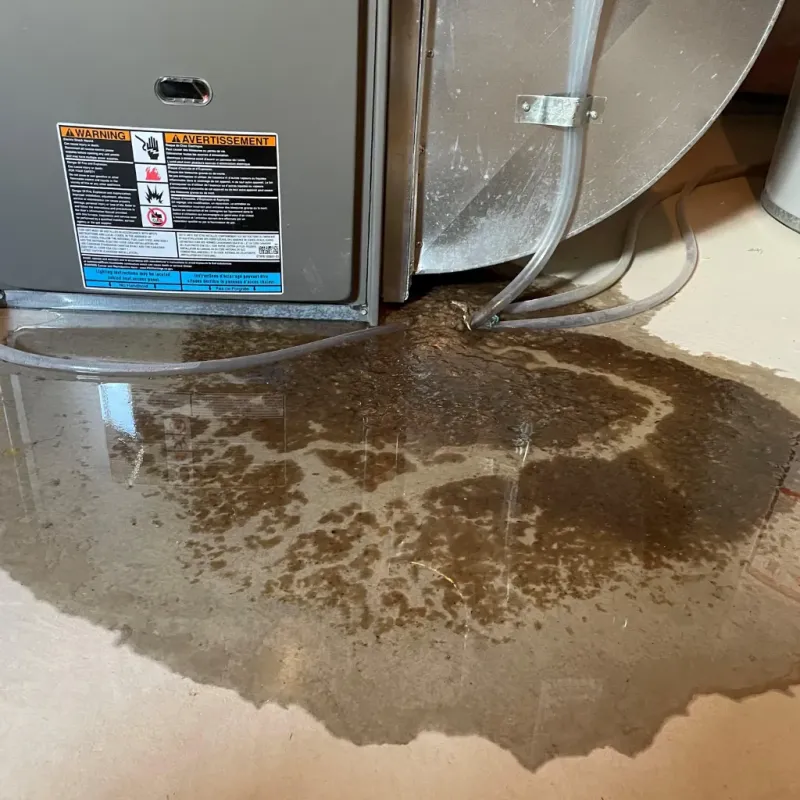 Appliance Leak Cleanup in Coconut Creek, FL